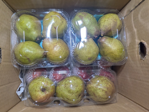 柿、洋ナシ、リンゴの箱詰め