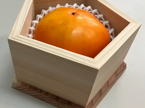 カキ(柿) - 果樹苗木・成木通販の 特等大苗専門店 すだ農園@京都亀岡
