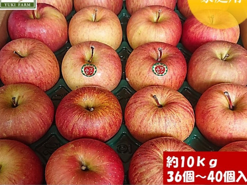 青森県産りんご  糖度14%保証 雪完熟自然葉とらずサンふじ10kg 家庭用