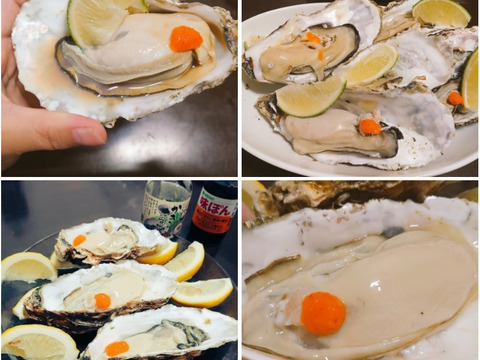 【10％OFF設定中】生食用２ｋｇ 殻付き 牡蠣 （14~30粒）牡蠣 殻付き牡蠣 殻付き牡蛎 牡蛎 kaki かき カキ 松島牡蠣屋 BBQに貝類 海産物 オイスターoyster
