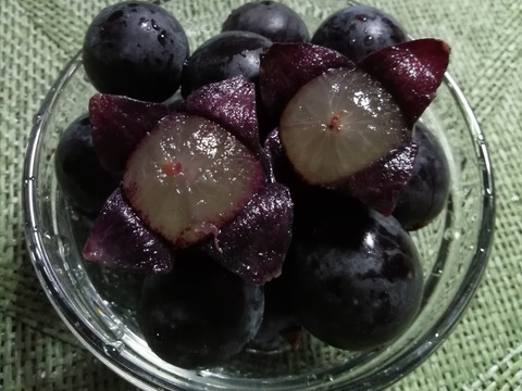 🟥訳アリご家庭用🟥🌿2024第二弾②３種🍇ぶどう詰め合わせ🌿
シャインマスカット・クイーンニーナ・巨峰/ 各種１房入♦️様々訳アリ不揃い房♦️