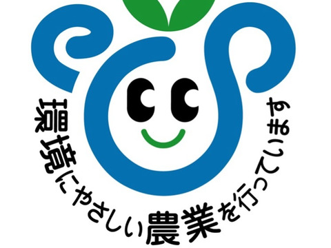 予約　皮がパリッ！青リンゴ風味☆サニードルチェ☆　１kg箱（２房）種無し・皮ごと　９００g☆10月中旬から発送☆