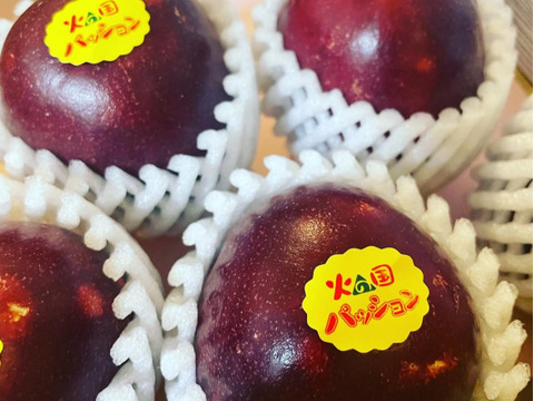 【販売期間残りわずか】芳醇な味わい パッションフルーツ『火の国パッション』贈答用・1kg