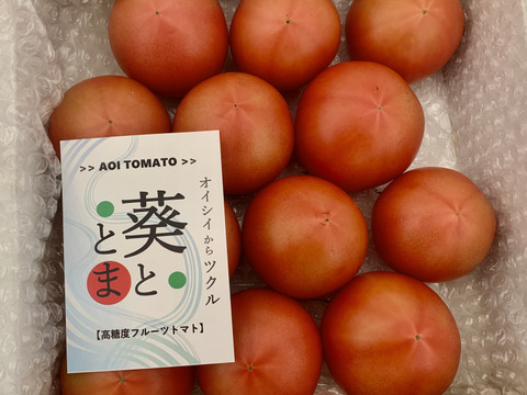 塩トマト【贈答用B】1.4kg
