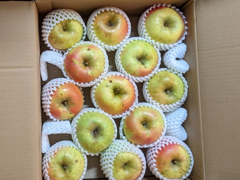 【販売中！】青森県産りんご「ぐんま名月」家庭用 キズ有 約5kg 【光センサー選果・高リピート率】