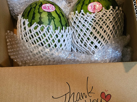 甘さ抜群！シャリシャリ小玉すいか🍉2玉（3.6～4.6ｋｇ）本州の方限定