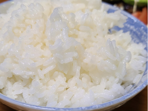 お試し試食サイズ！甘くてさっぱり！　令和2年山形県庄内産　新米 はえぬき【白米】1.8kg