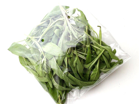 無農薬*フレッシュハーブ (コモンセージ)50g