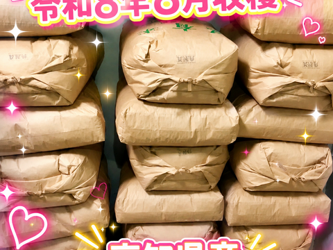 🌟40袋限定🌟令和8年8月収穫新米❣高知産コシヒカリ🌾玄米30kg✨ 節減