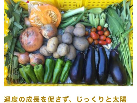 【数量限定】最旬の1品おまけ付！農薬不使用野菜セット(9品)/レシピ付き