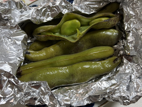 【朝どれ直送】どーんとそら豆！【旬の贅沢！】