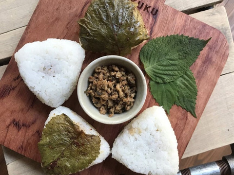 栽培期間中農薬不使用!! 京丹後産『コシヒカリ』玄米4.5kg