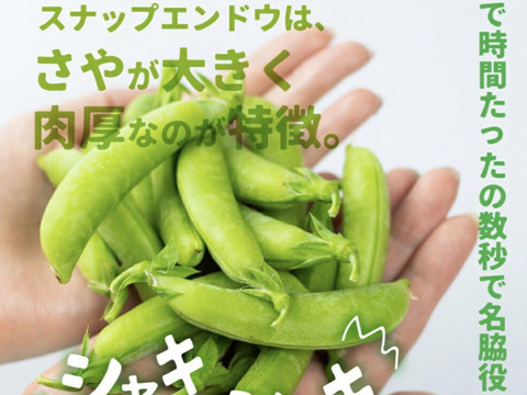 旬の春野菜セット　 鹿児島県指宿産 スナップエンドウ＋グリーンピース＋オクラ 農家直送