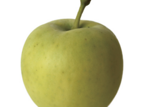 希少品種！青森県産　メルシー