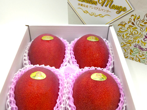 【順次発送中】県知事賞受賞 サンライズファームのマンゴー 【秀品】【2kg】