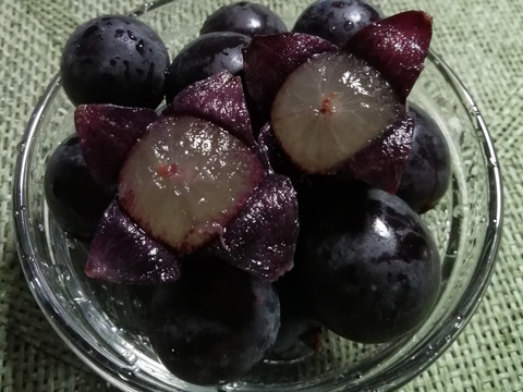 ✨🍇今が旬の露地栽培巨峰✤種有無混🍇✨
　　　巨峰４〜５房/中サイズ約1.7kg位