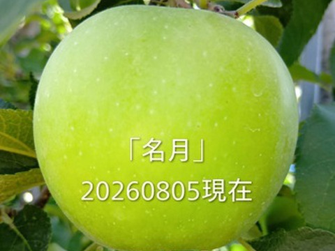 【先行予約】「名月約10kg」生産者が大好きなりんご。甘みたっぷり品種、黄色のボディに頬紅を付けた見た目も愛くるしいです。当農園人気品種10月後半から収穫予定ですので。