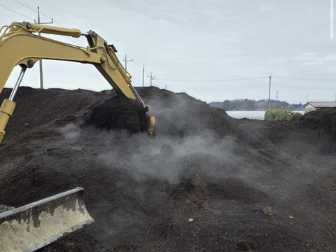 【受賞記念&登録記念SELE🎊】極太(A2L)のみ｜1.0kg｜那須塩原産アスパラガス｜朝採れ｜じゅわっと春を感じる