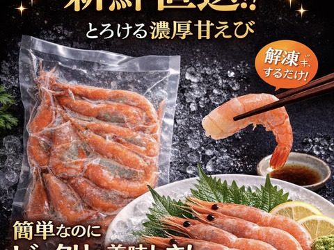 【贈答用】✨ブランド認定 ふくい甘えび　子持ち✨網元直送！ふく福甘えび[真空冷凍]300g×2　ギフト大好評（箱あり・熨斗対応可）