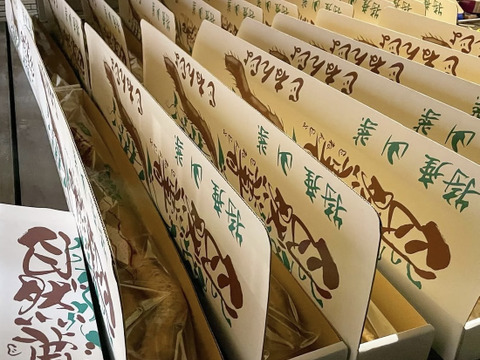 ★訳あり★自然薯予約2〜4本入り★計1kg