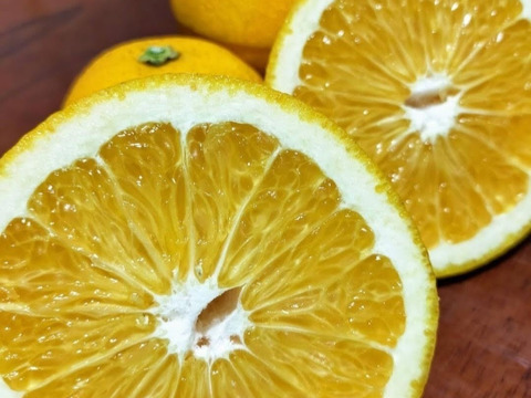 木なり八朔『大玉』5kg（箱込）