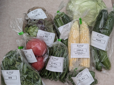 ふたばたけ　畑から直送！　農薬不使用！　旬のこだわり野菜セット　７～１０種類