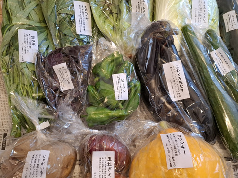 【旬のVEGE箱（Rサイズ）】土壌医＆有機農家がつくる！畑の「今」を箱いっぱいにつめこんだ野菜セット（約11〜12品種）
