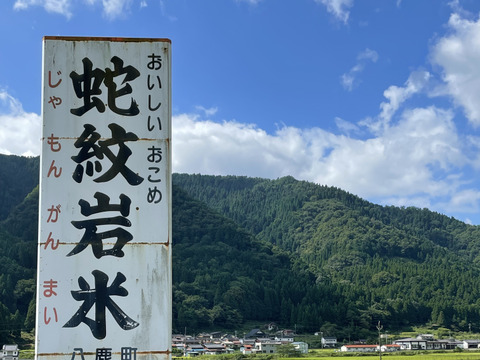 【令和7年産】兵庫県養父市産　蛇紋岩コシヒカリ 但馬米 白米10kg お米「氷ノ山の恵み」　数量限定