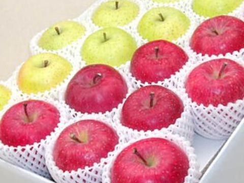 青森りんご　【冬ギフトNo.1】【コラボ】サンフジ極み特選8個入り、王林特選8個入り約5kg