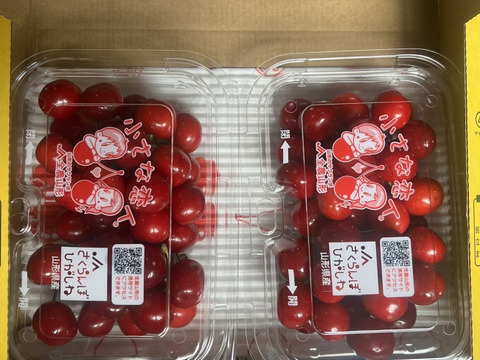 （特別価格！！！)山形県産　さくらんぼ　紅さやか　400g