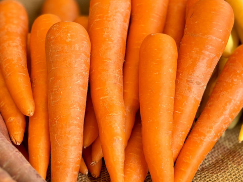 フルーティーな香り！雪下にんじんアロマレッド（3㎏）