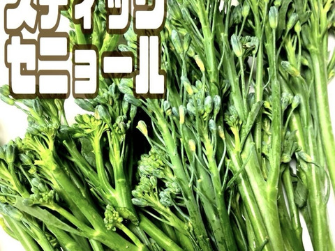 新鮮度が違う！200g スティックセニョール