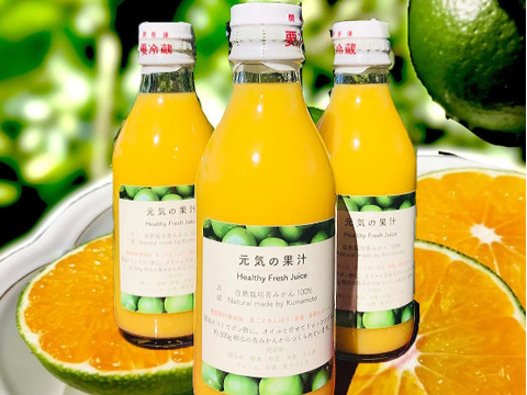 手作りラッシーを楽しもう！自然栽培青みかん100%『元気の果汁』×３本