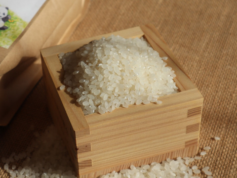 《R7年産》あきほなみ 無洗米 20kg