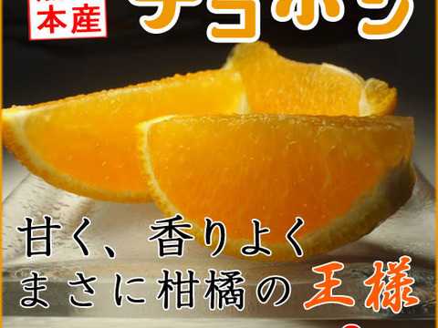 柑橘系の王様！熊本産デコみかん3キロ