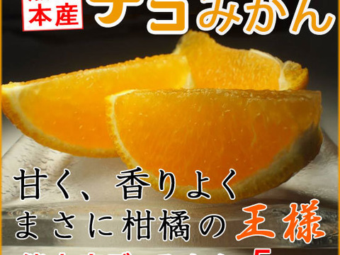 柑橘系の王様！熊本産デコみかん5キロ