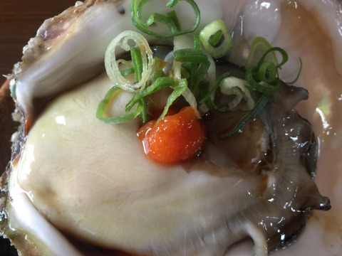 【夏の福袋】数量限定！的矢産岩牡蠣（生食可）大きさにびっくりの特別セット！