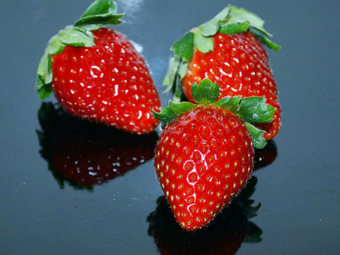 ジューシーな和歌山の苺　❝まりひめ・紀の香❞　食べ比べセット！！