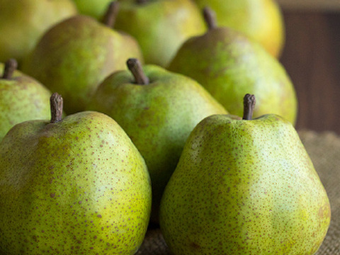 ラ・フランス　２ｋｇ（２L ８玉）食べごろ　完熟のトロトロっとした舌触り