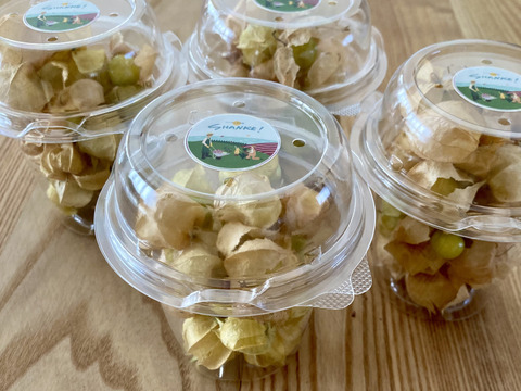 ゴールデンベリー 食用ほおずき 300g