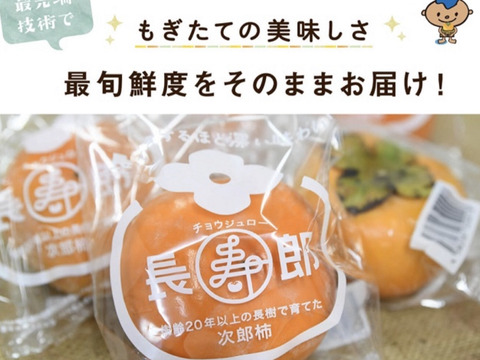 【冬ギフトお歳暮用！】長生き次郎柿『長寿郎』大きい3Lサイズ6玉入り