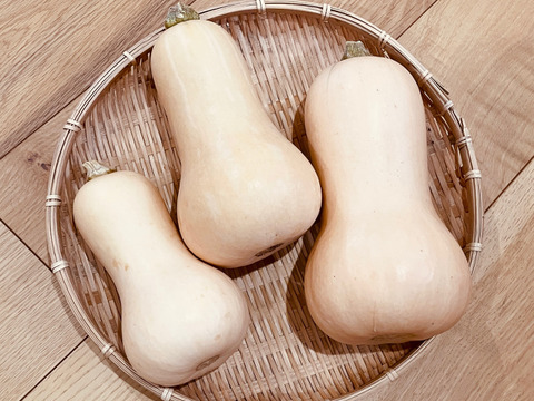 【残りわずか！なくなり次第終了！栽培期間農薬・化学肥料不使用】ポタージュ等のスープやプリン等のスイーツ、おかずにも幅広く活躍のバターナッツかぼちゃ2kg