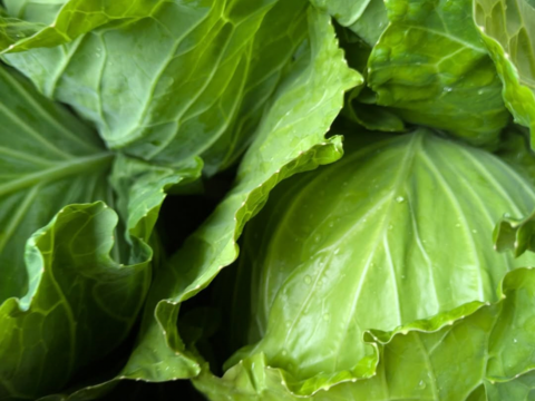 ❄️☃️冬の野菜セット☃️❄️