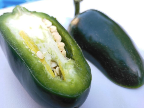 【期間数量限定！】ピクルスやサルサソースで大人気！ピリ辛青唐辛子ハラペーニョ1kg