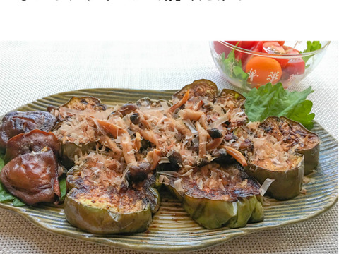 茄子好きには溜まらない！奥三河伝統野菜　天狗茄子3k（5本～8本）