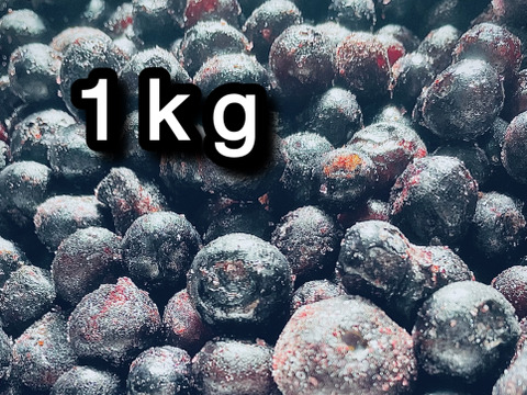 【道産自然栽培】冷凍ブルーベリー•1kg（古参品種ミックス）※まとめ買い対応