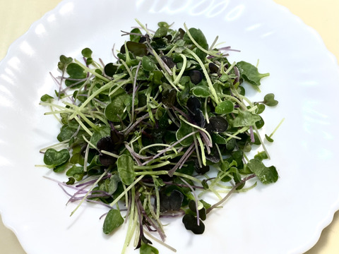 冷凍マイクロリーフミックス　100ｇ【少しの量で栄養タップリ！】― ちいさな葉に、生命力とやさしさを ―