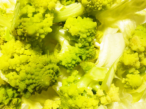 【芸術的野菜！】ロマネスコ（2個）農薬・化学肥料不使用