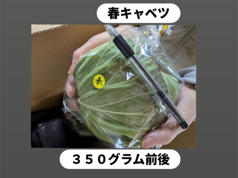 小さいシリーズ