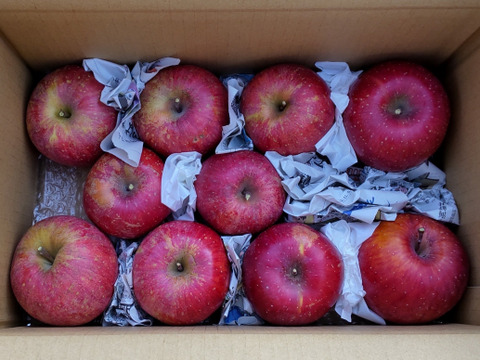 【すぐ出荷OK】葉とらずサンふじ　家庭用B品　3キロ箱（3.2キロぐらい入ります）　JA基準より60％減の低農薬栽培